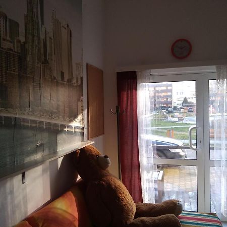 Apartament Przy Parku Noclegi Płock Exteriér fotografie